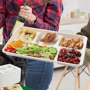 5 Compartment Bagasse Food Tray Plate Disposable Plates