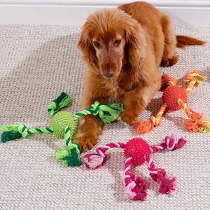 TPR Rope Toy