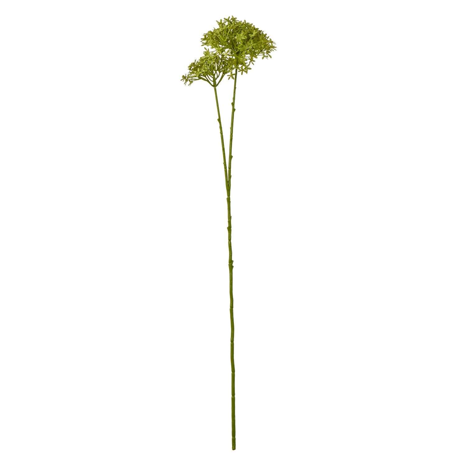 Wyld Haus Set of 3 Green Crown Hydrangea Artificial Stems 710mm - Green