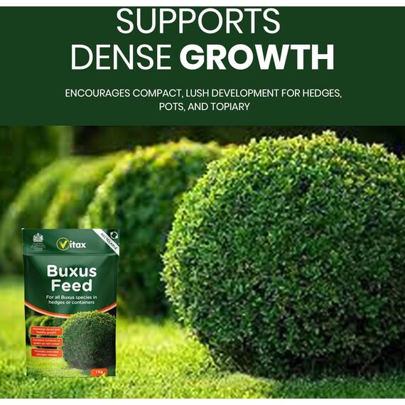 Vitax Buxus Feed