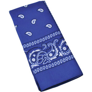 Bristol Novelty Cowboy Bandana