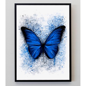 Butterfly Splatter Print