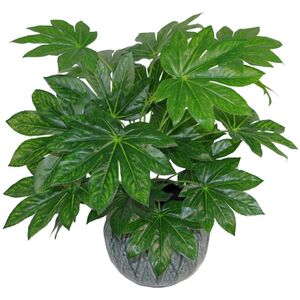Leaf Design Aralia Artificial Foliage Plant with Pot
