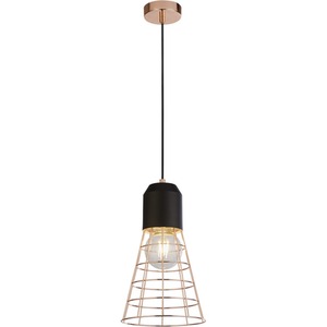 1 Light Copper Cage Light