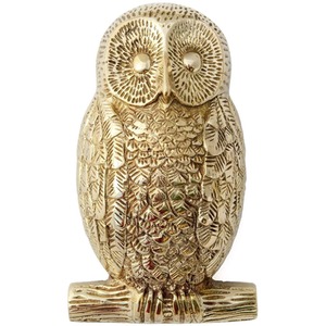 Castelion Solid Brass Owl Door Knocker