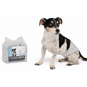 MPets Diapers Large