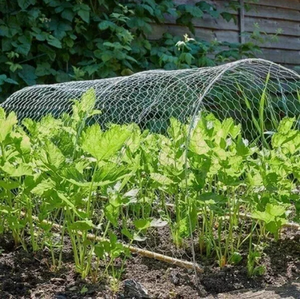 5m Galvanised Wired Mesh
