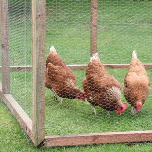 Galvanised Chicken Wire 1m x 5m