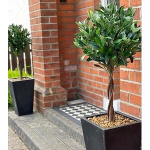 Pair of  Twist Natural Artificial Topiary Bay Laurel Ball Trees
