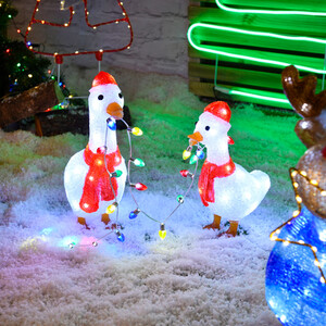Set of 2 Acrylic Christmas Geese