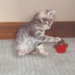 Flapping Robin Pet Toy
