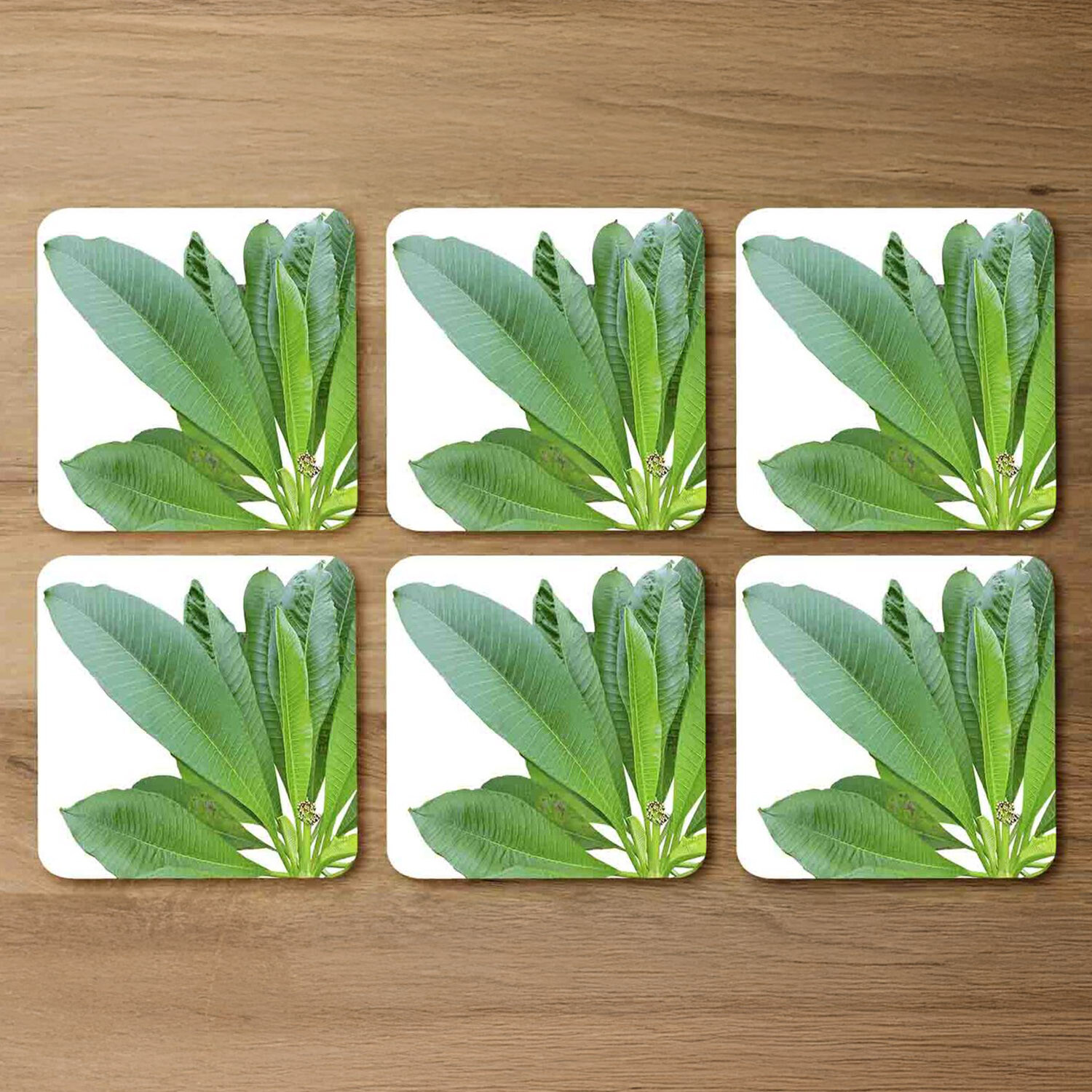 Image of Collection Of Green Leaves On White&hellip;