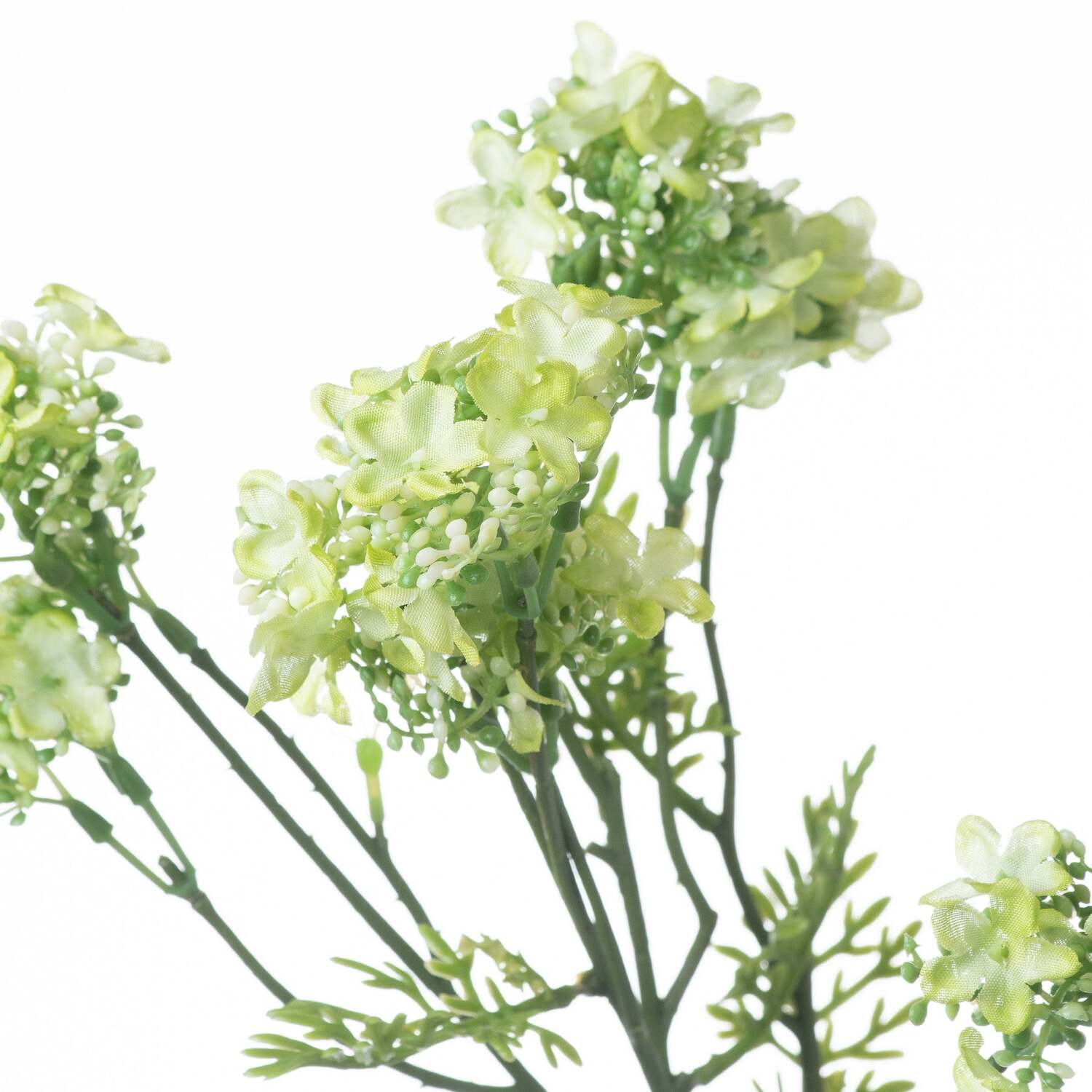 Wyld Haus Set of 3 Artificial Green Plum Blossom Spray Stems, 710mm - Green