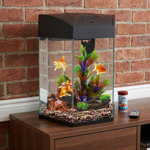 Hexagonal Aquarium