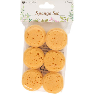 Pack of 6 Sponges