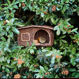 Nester cabin Bird House
