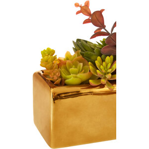 Fiori Mixed Succulents with Gold Ceramic Pot