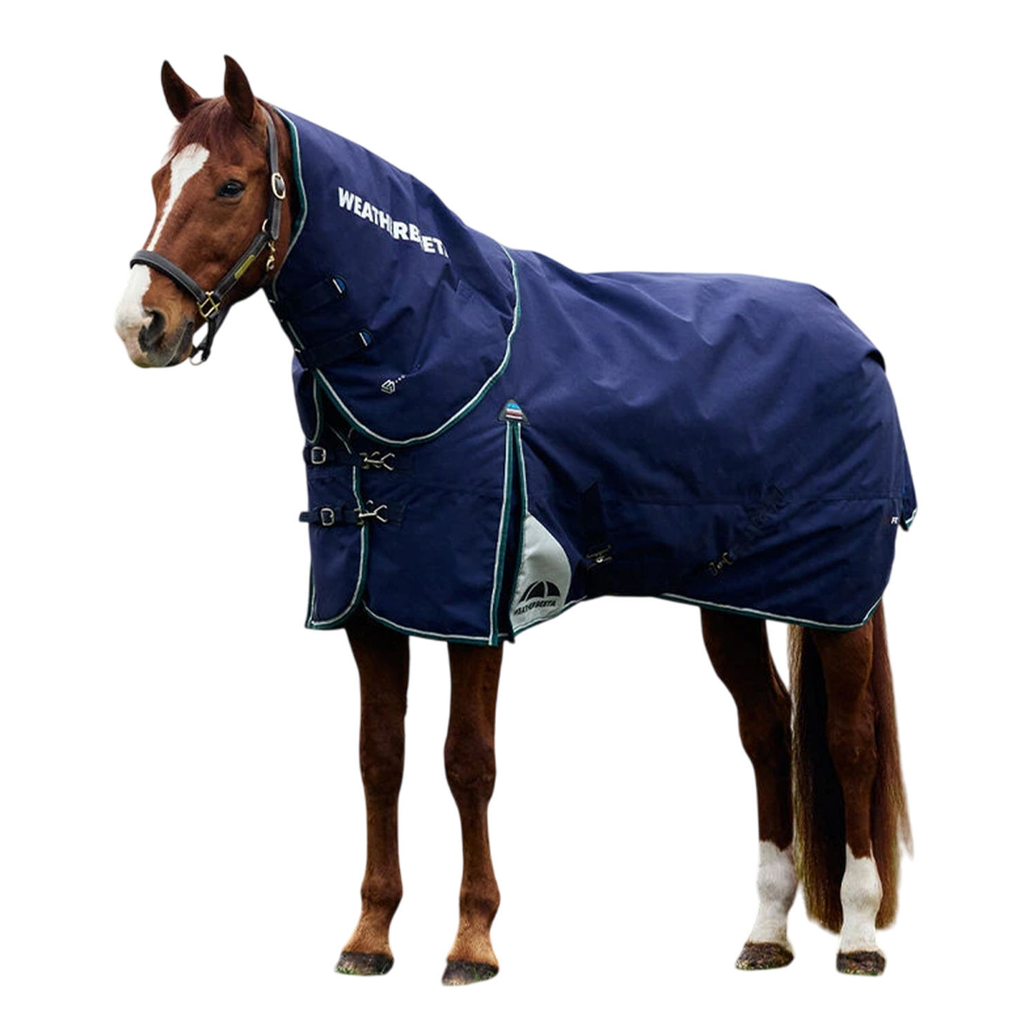 Weatherbeeta Comfitec Plus Dynamic Detachable Neck Logo 100G Horse Turnout Rug - Navy/Forest Green / Plush
