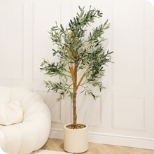 trees shrubs