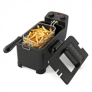 Electric Deep Fryer