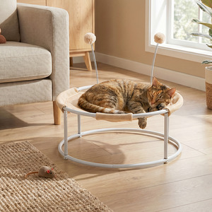  shot 16353304