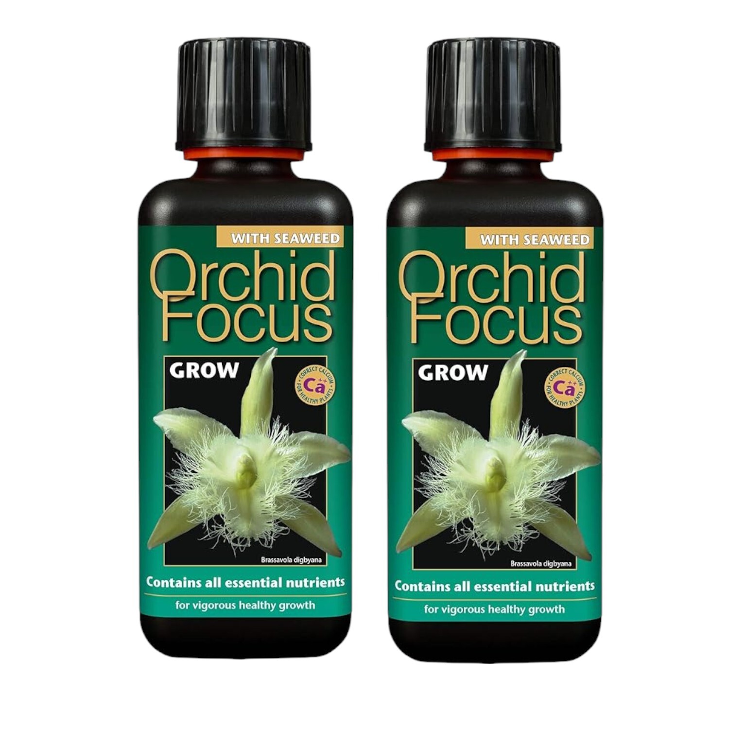 Growth Technology Orchid Focus Grow Liquid Plant Feed - Neutral