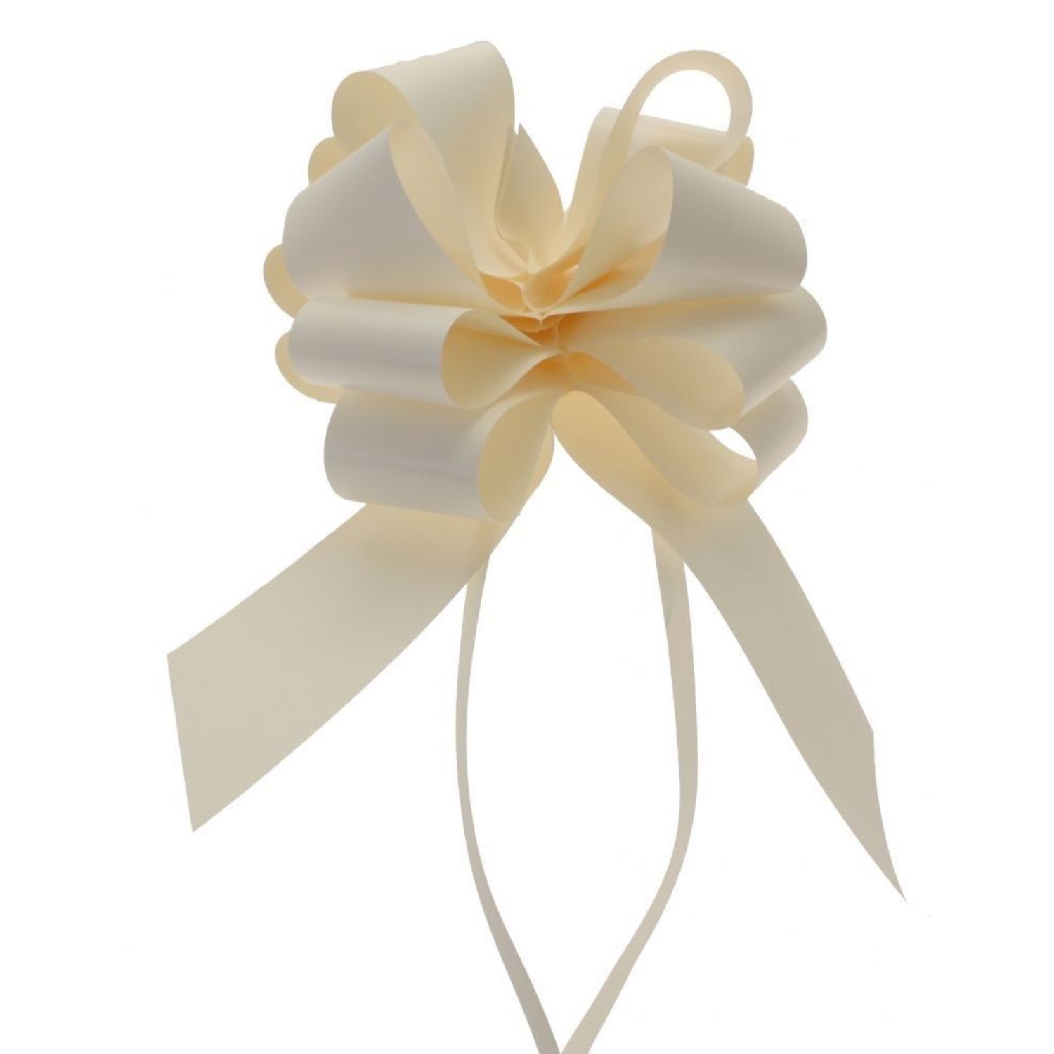 Kdmd Unisex Cream Eggshell Single Pull Bow 50Mm 12 Pack In - Image 2