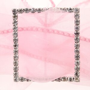 Large Square Buckle Birds Butterflies and Buckles Pack of 12