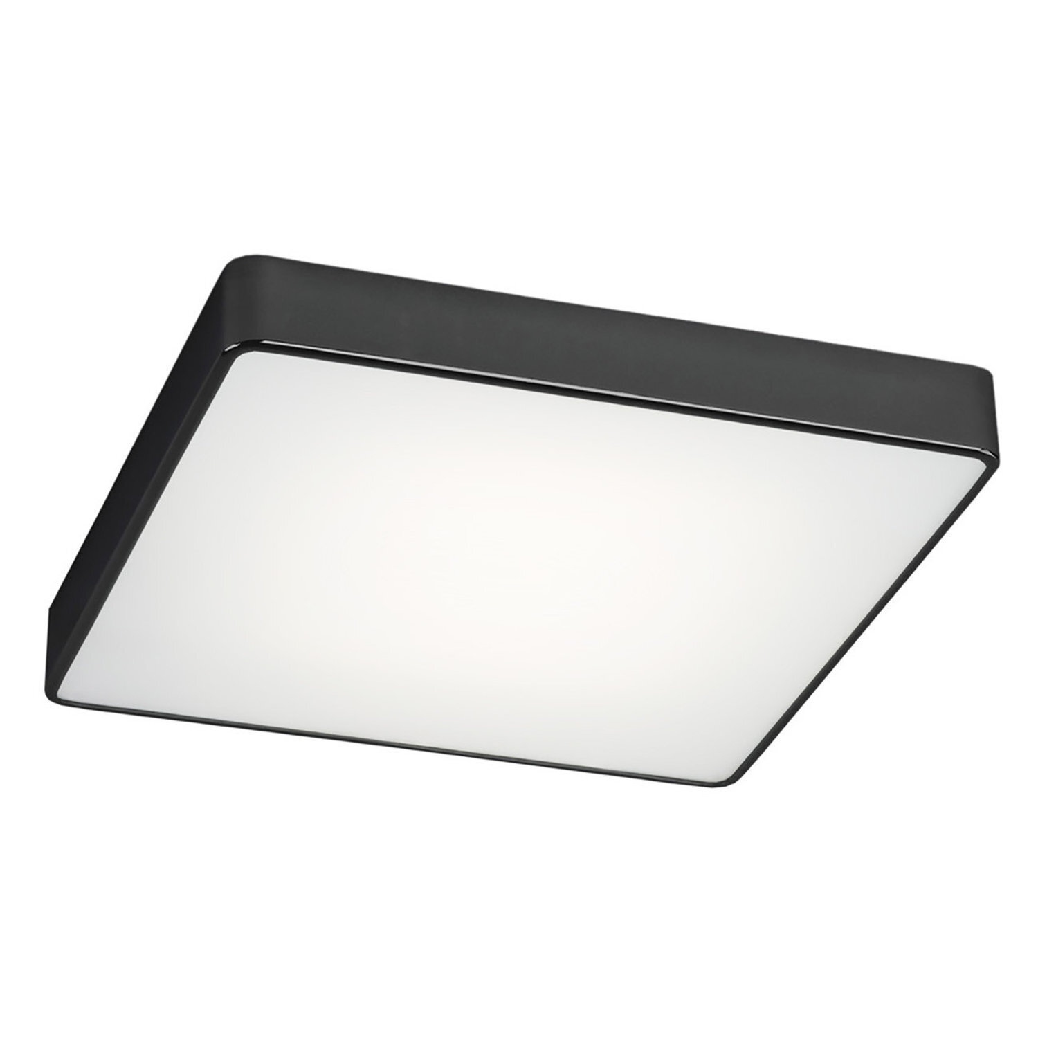 Argon Lighting Ontario Ceiling Light Black