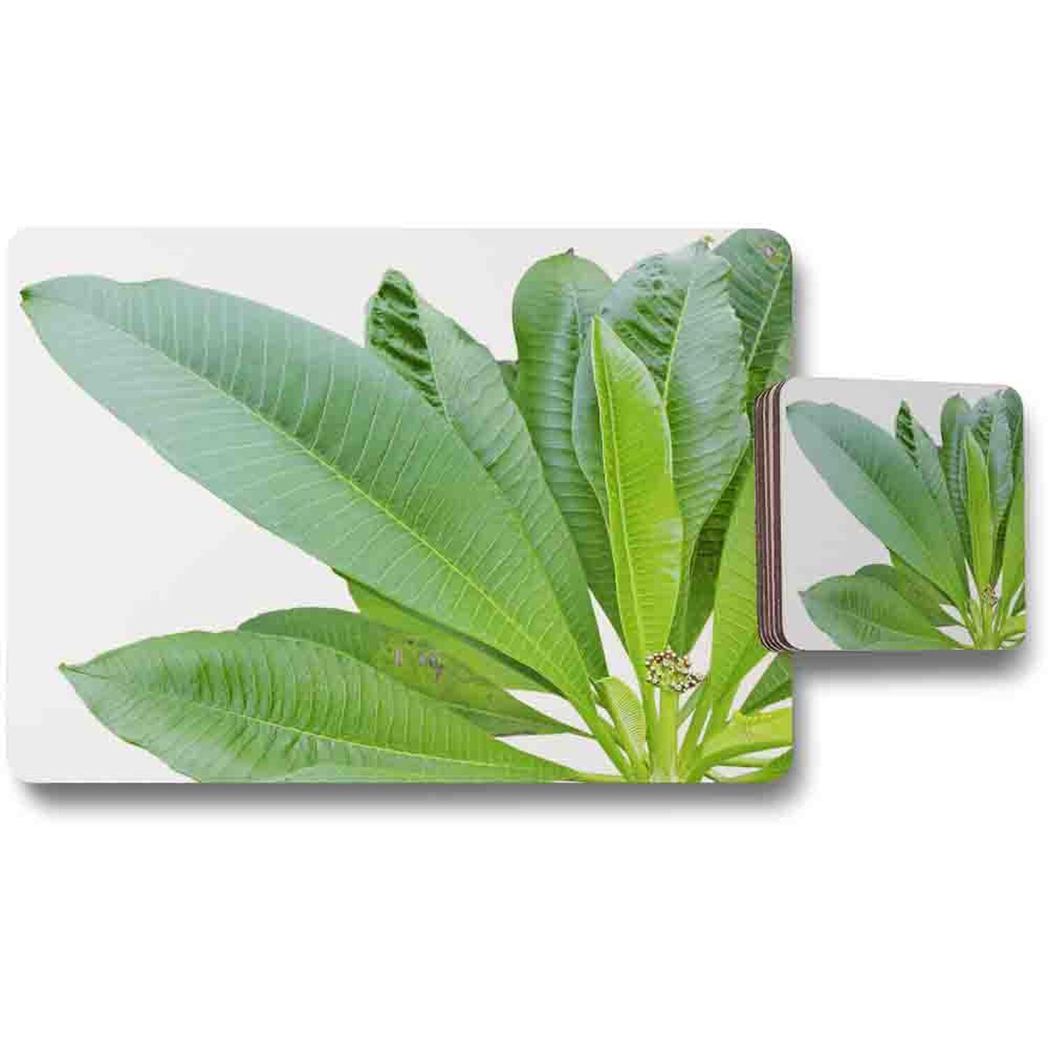 Image of Collection Of Green Leaves On White&hellip;