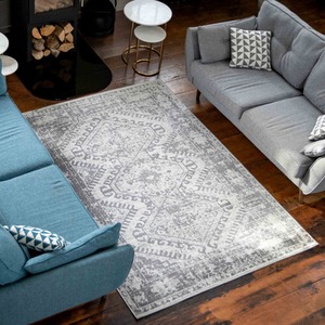 Bordered Geometric Distressed Living Area Rug