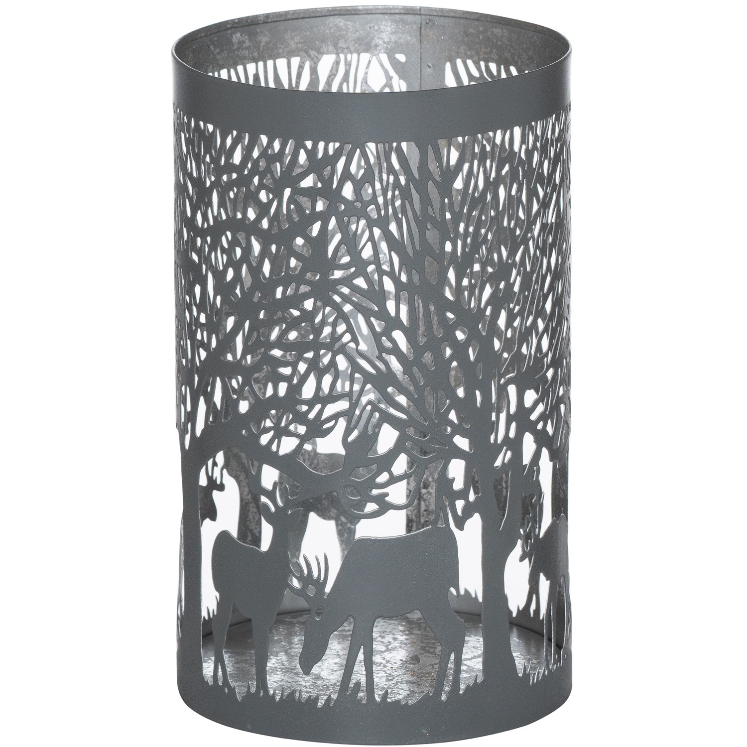 Image of Large Glowray Stag In Forest Lantern&hellip;
