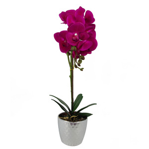 Artificial Real Touch Orchid in Decorative Pot