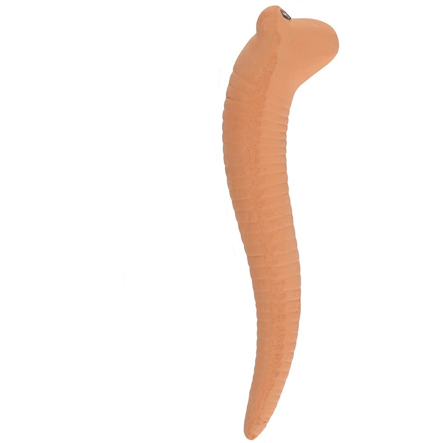 Wholesale Set of 16 Willy the Worm Plant Water Sensors in Display for your store