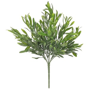 UV Indoor, Outdoor Everlast Olive Plant