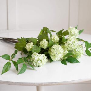 Artificial Single Cream Guelder Rose Branch Flower Stem L60cm