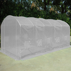 Pro Max Poly Tunnel Green House 6m x 3.5m