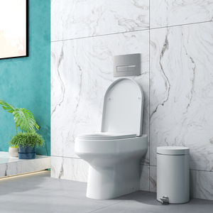 Back To Wall Toilet Soft Close Seat Pan WC 530*365*415