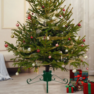 Indoor Christmas Tree Stand
