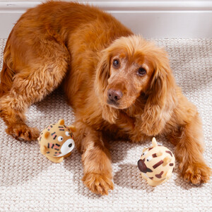 Pet Touch Squeaky Safari Animal Dog Toy