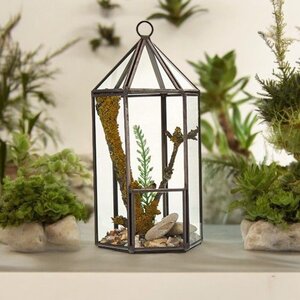 Glass Lantern Terrarium for Succulents Air Plants Stylish Geometric Decor
