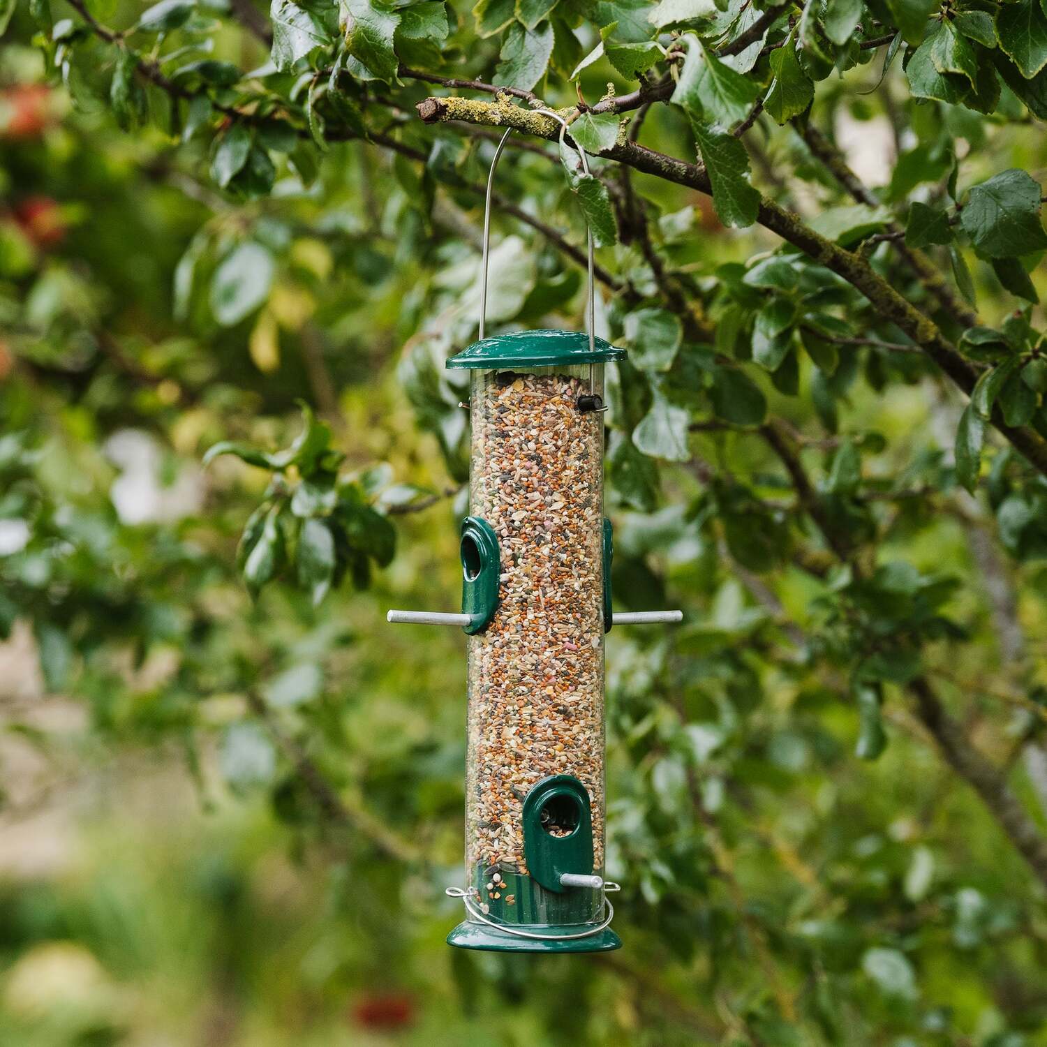 Image of Peckish All-Weather Stainless Steel Seed Feeder,&hellip;
