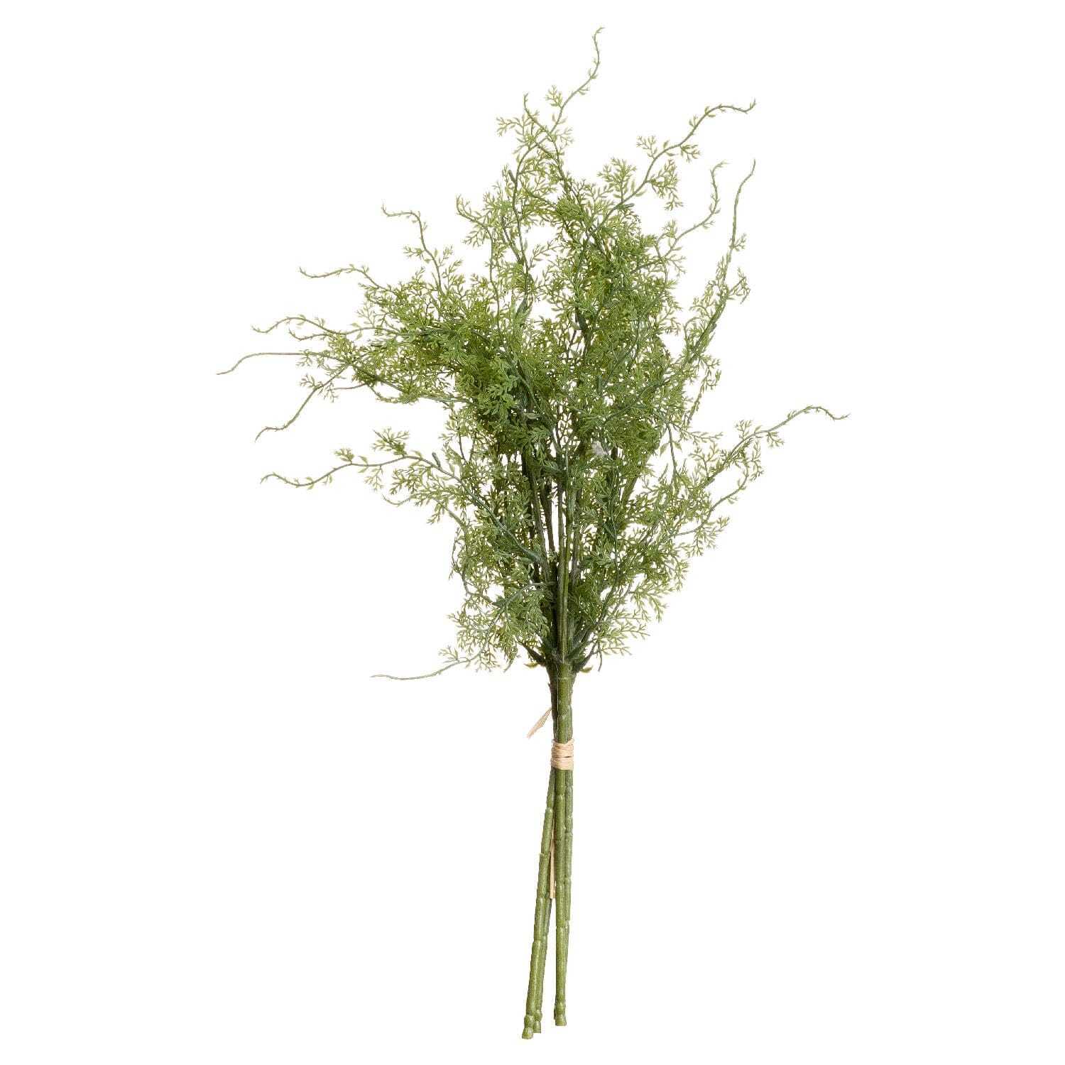 Set of 3 Artificial Asparagus Fern Bunches - Green