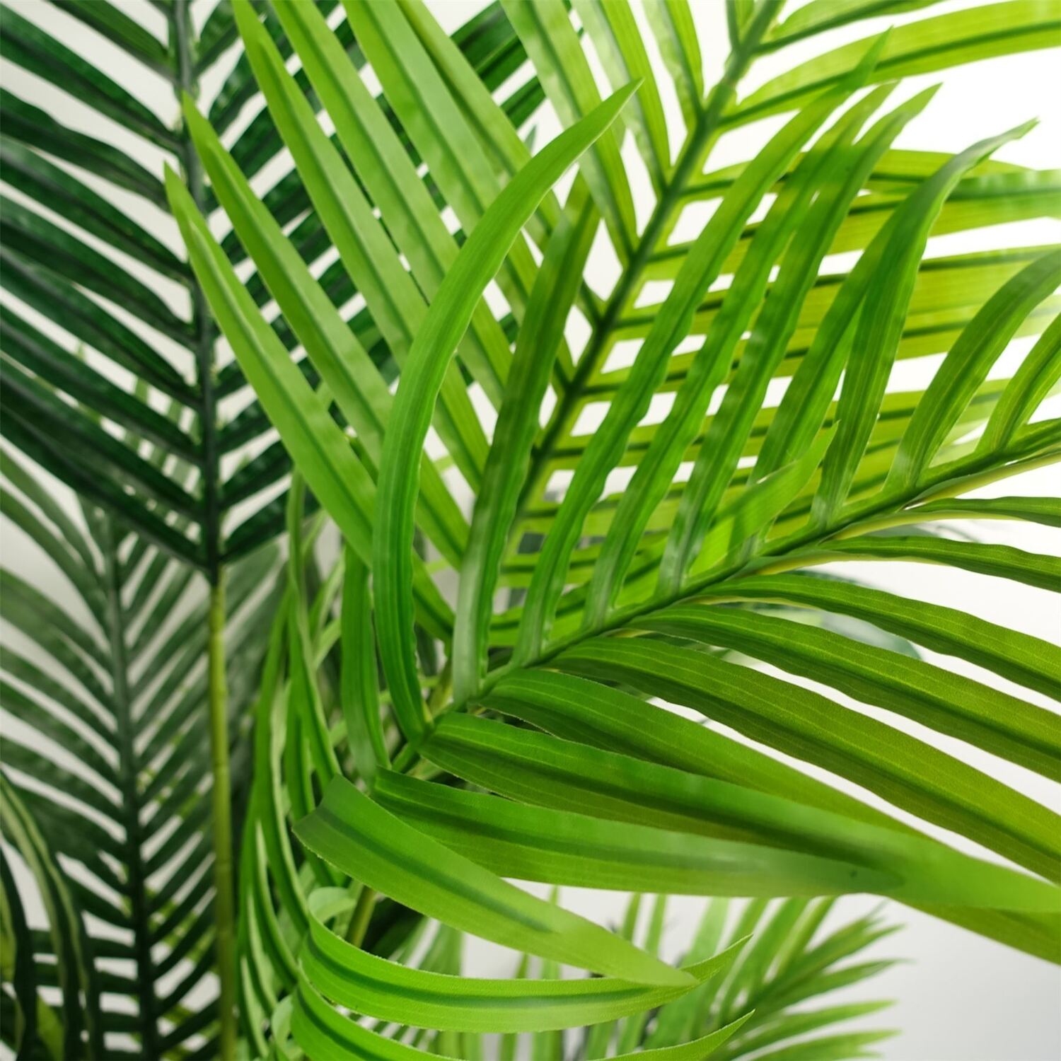 Botanik 180Cm Artificial Palm Tree Extra Large Premium - Green Palm Tree - Image 2