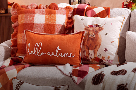 fluffy warm cushions throws