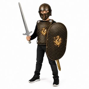 Kids Medieval Knight Armour Costume Set Bronze Dragon Helmet Breastplate Shield Sword Fancy Dress