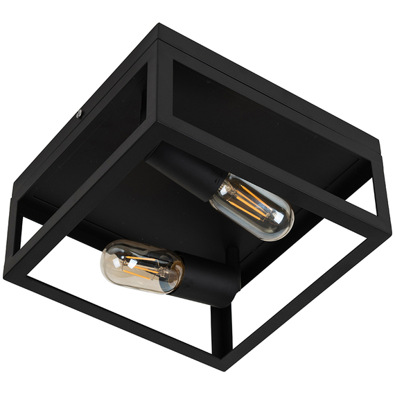 Industrial Style Black 2 Way Caged Ceiling Light