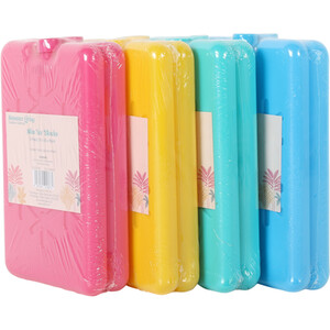Pack of 2 Slim Ice Blocks