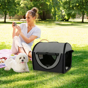 PawHut  Folding Fabric Soft Pet Crate and Travel Carrier