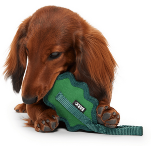 Bark A Green Chew Leaf Dog Toy